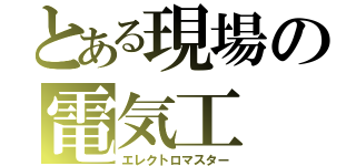 とある現場の電気工（エレクトロマスター）