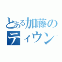 とある加藤のティウンティウン（）