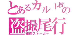 とあるカルト教の盗撮尾行（集団ストーカー）