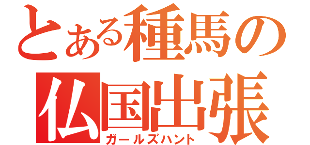 とある種馬の仏国出張（ガールズハント）