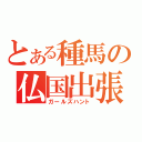 とある種馬の仏国出張（ガールズハント）