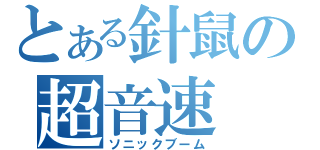 とある針鼠の超音速（ソニックブーム）