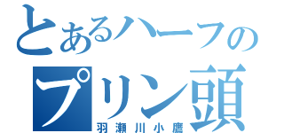 とあるハーフのプリン頭（羽瀬川小鷹）