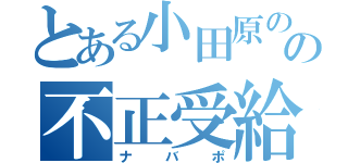 とある小田原のの不正受給者（ナバポ）