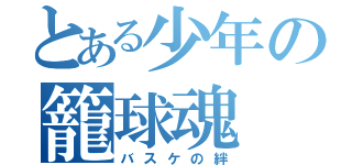 とある少年の籠球魂（バスケの絆）