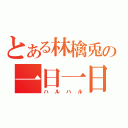 とある林檎兎の一日一日（ハルハル）