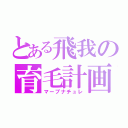 とある飛我の育毛計画（マープナチュレ）