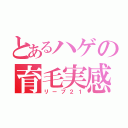 とあるハゲの育毛実感（リーブ２１）