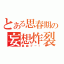 とある思春期の妄想炸裂（鼻血ブー！）