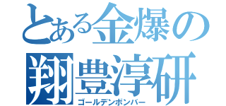 とある金爆の翔豊淳研二（ゴールデンボンバー）