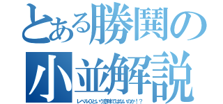 とある勝鬨の小並解説（レベル０という意味ではないのか！？）