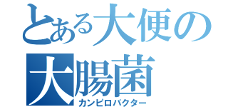 とある大便の大腸菌（カンピロバクター）