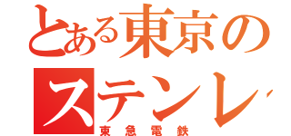 とある東京のステンレス（東急電鉄）