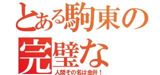 とある駒東の完璧な（人間その名は金井！）