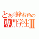 とある蜂蜜色の専門学生Ⅱ（スプリング）