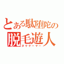 とある駄堕陀の脱毛遊人（ヌケゲーマー）