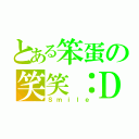 とある笨蛋の笑笑：Ｄ（Ｓｍｉｌｅ）