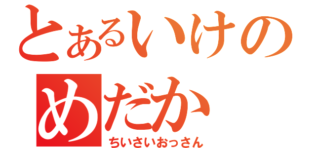 とあるいけのめだか（ちいさいおっさん）