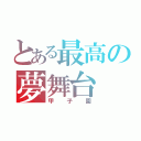 とある最高の夢舞台（甲子園）