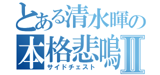 とある清水暉の本格悲鳴放送Ⅱ（サイドチェスト）