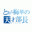 とある梅華の天才部長（ジーニアス）