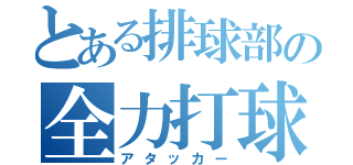 とある排球部の全力打球（アタッカー）