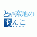 とある産地のちんこ（筑紫産地）