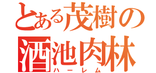 とある茂樹の酒池肉林（ハーレム）