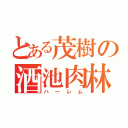 とある茂樹の酒池肉林（ハーレム）