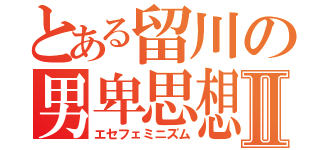 とある留川の男卑思想Ⅱ（エセフェミニズム）