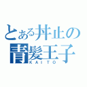 とある丼止の青髪王子（ＫＡＩＴＯ）