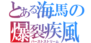 とある海馬の爆裂疾風弾（バーストストリーム）