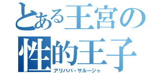 とある王宮の性的王子（アリババ・サルージャ）