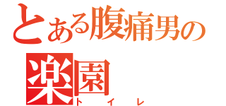 とある腹痛男の楽園（トイレ）