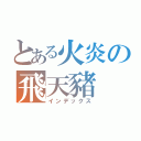 とある火炎の飛天豬（インデックス）