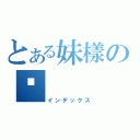 とある妹樣の絕（インデックス）