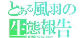 とある風羽の生態報告（自己紹介みたいなもの）