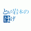 とある岩本のはげ（）