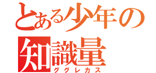 とある少年の知識量（ググレカス）