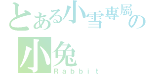 とある小雪專屬の小兔（Ｒａｂｂｉｔ）