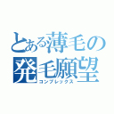 とある薄毛の発毛願望（コンプレックス）