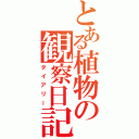 とある植物の観察日記（ダイアリー）