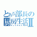 とある部長の厨房生活Ⅱ（キュウタロス）