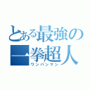 とある最強の一拳超人（ワンパンマン）