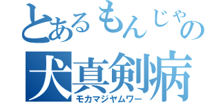 とあるもんじゃの犬真剣病（モカマジヤムワー）