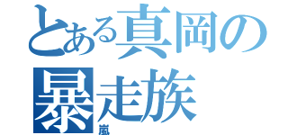 とある真岡の暴走族（嵐）