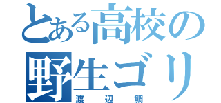 とある高校の野生ゴリラ（渡辺鯛）