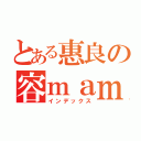 とある惠良の容ｍａｍｉ（インデックス）