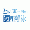 とある東三河の短距離泳者（スプリンター）