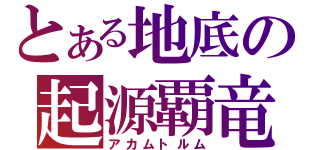 とある地底の起源覇竜（アカムトルム）